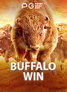 รับ โบนัส ฟรี 300 ให้สนุกสุดมันส์กับสล็อต PG Soft